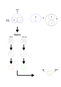 MS decode cardioids.png