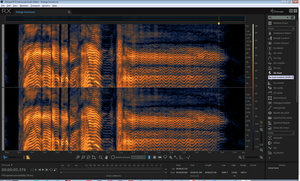 strange noises.jpg